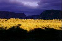 Newfoundland